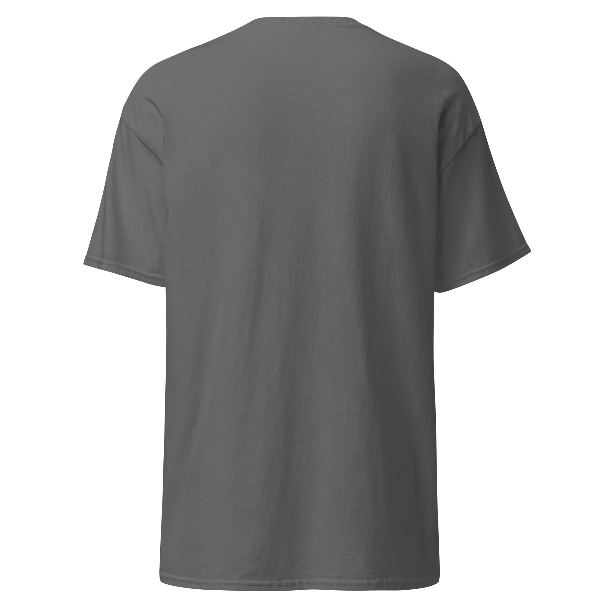 unisex-classic-tee-charcoal-back-66ec6b0f612e5.jpg