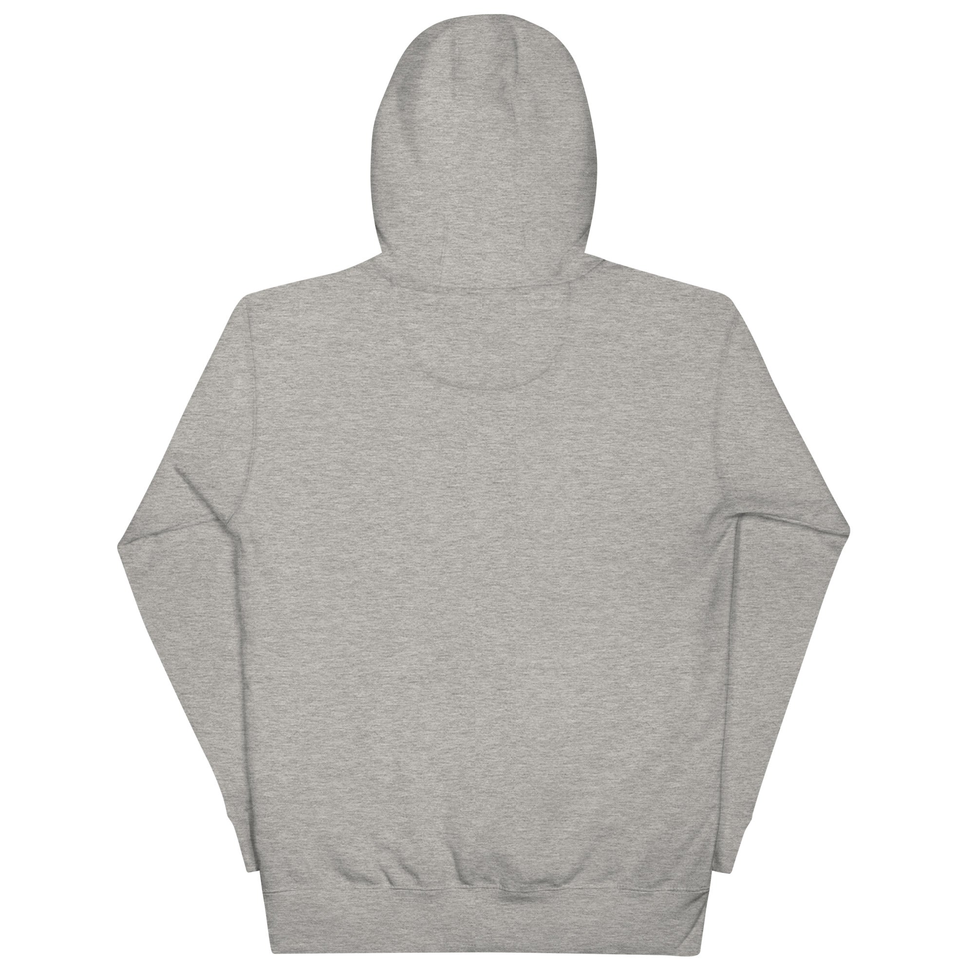 unisex-premium-hoodie-carbon-grey-back-66f2b3c8a9054.jpg